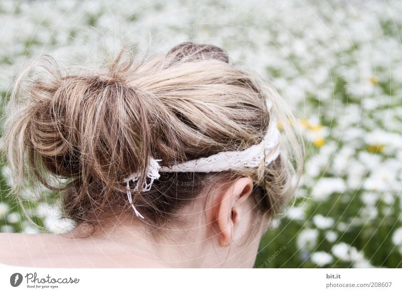 Blumenmeer Haare & Frisuren Zufriedenheit Ausflug Sommer feminin Junge Frau Jugendliche Kopf Ohr Natur Wiese Haarband blond langhaarig Freude Glück Lebensfreude