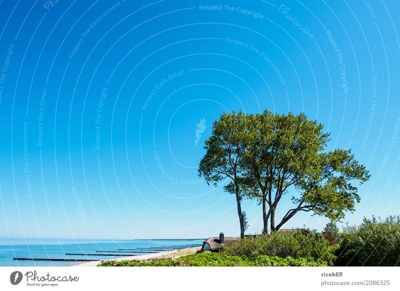 Strand an der Ostsee bei Ahrenshoop Erholung Ferien & Urlaub & Reisen Tourismus Meer Wellen Haus Natur Landschaft Wolken Wetter Baum Küste Gebäude blau Idylle