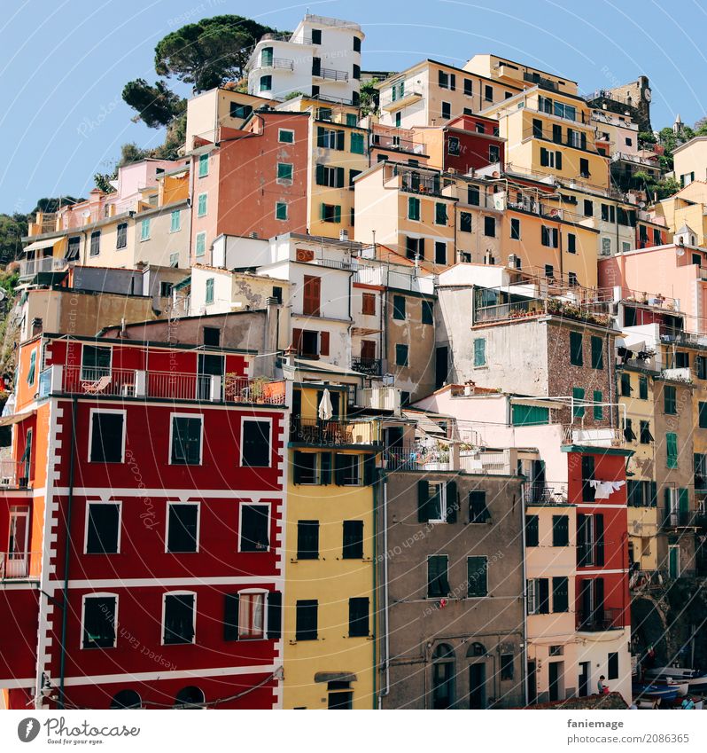 Cinque Terre XXIV Dorf Fischerdorf Kleinstadt Hafenstadt Stadtzentrum Altstadt Haus ästhetisch malerisch Riomaggiore Italien Ferien & Urlaub & Reisen