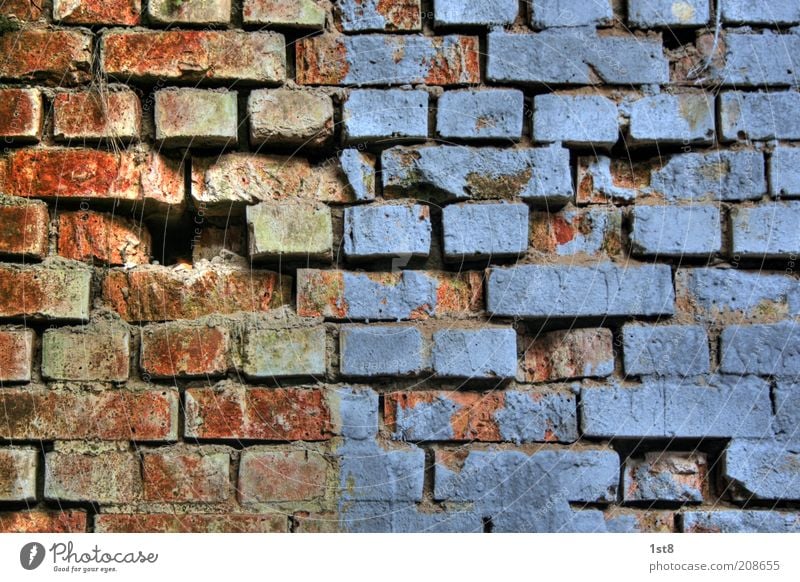 blue bricks Haus Architektur Mauer Wand alt blau rot Vergänglichkeit Backstein Loch Fuge Putz gebrochen Farbstoff Anstrich Vernetzung Farbfoto Innenaufnahme