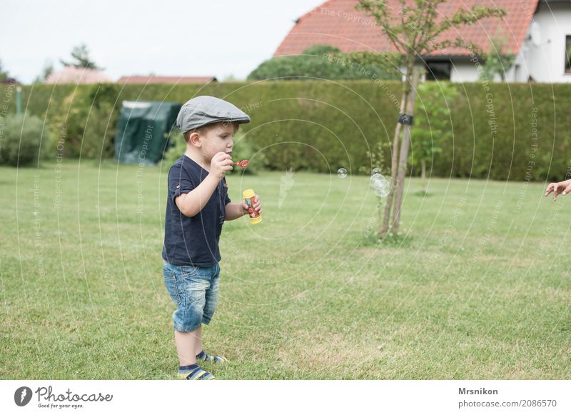 geht los maskulin Kind Kleinkind Junge Kindheit Leben 1 Mensch 1-3 Jahre Landschaft Garten Wiese Spielen stehen Seifenblase blasen Mütze Außenaufnahme