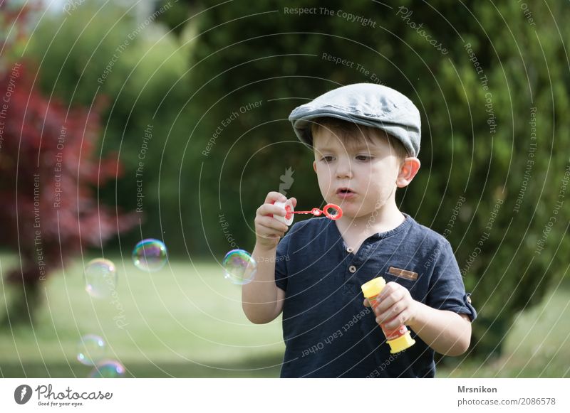 seifenblasen Kind Kleinkind Junge Kindheit Leben 1 Mensch 1-3 Jahre Mütze Außenaufnahme Seifenblase Kinderspiel Blase Garten schön niedlich Blick Farbfoto