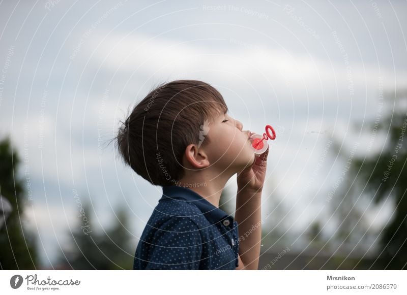 seifenblasen Freude Glück Freizeit & Hobby Spielen Kleinkind Junge Kindheit Leben 1 Mensch 3-8 Jahre Fröhlichkeit Zufriedenheit Lebensfreude Seifenblase brünett