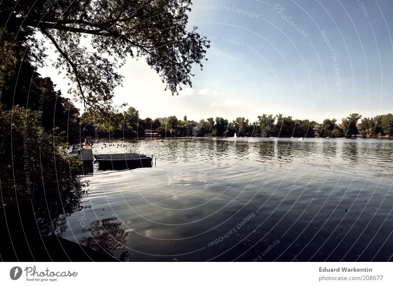 Weißensee Umwelt Natur Landschaft Pflanze Urelemente Luft Wasser Himmel Klima Wetter Schönes Wetter Seeufer Ruderboot Stimmung Freiheit Freizeit & Hobby Sommer