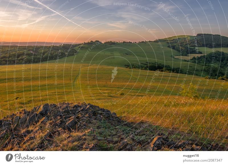 auf dem Dörnberg in Nordhessen 4 Ferien & Urlaub & Reisen Tourismus Ausflug Ferne Sommer Sommerurlaub Berge u. Gebirge wandern Umwelt Natur Landschaft Pflanze