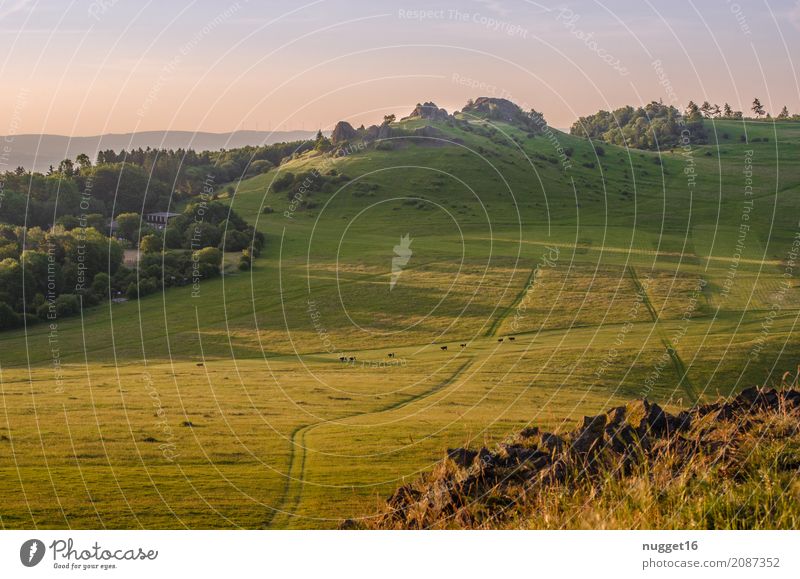 auf dem Dörnberg in Nordhessen Ferien & Urlaub & Reisen Tourismus Ferne Sommer Sommerurlaub Sonne Berge u. Gebirge wandern Umwelt Natur Landschaft Pflanze