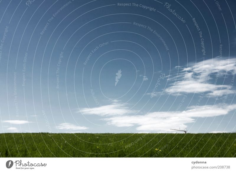 Existenzen Umwelt Natur Landschaft Himmel Wolken Sommer Gras Wiese Einsamkeit Freiheit Idylle Leben ruhig stagnierend Umweltschutz Vergänglichkeit