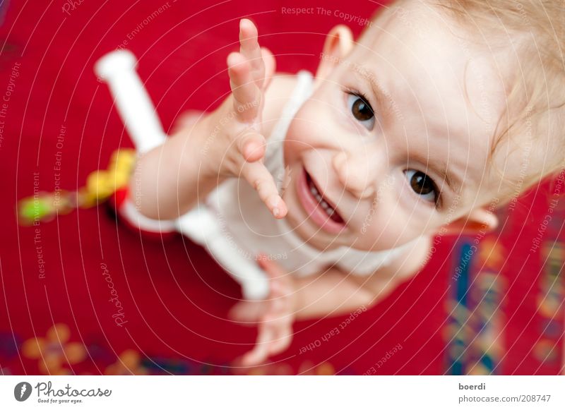 wAsn Spielen Kindererziehung Kleinkind Kindheit Kopf Gesicht Hand 1 Mensch 1-3 Jahre stehen frech lustig rebellisch unten rot Stimmung Coolness Neugier