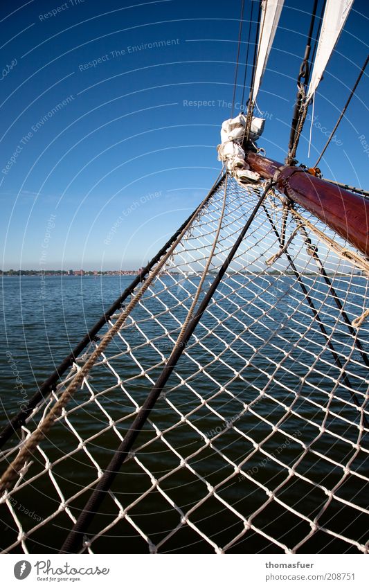 Amerika ? Ferien & Urlaub & Reisen Tourismus Ausflug Abenteuer Ferne Freiheit Kreuzfahrt Sommer Sommerurlaub Meer Insel Segeln Luft Wasser Himmel