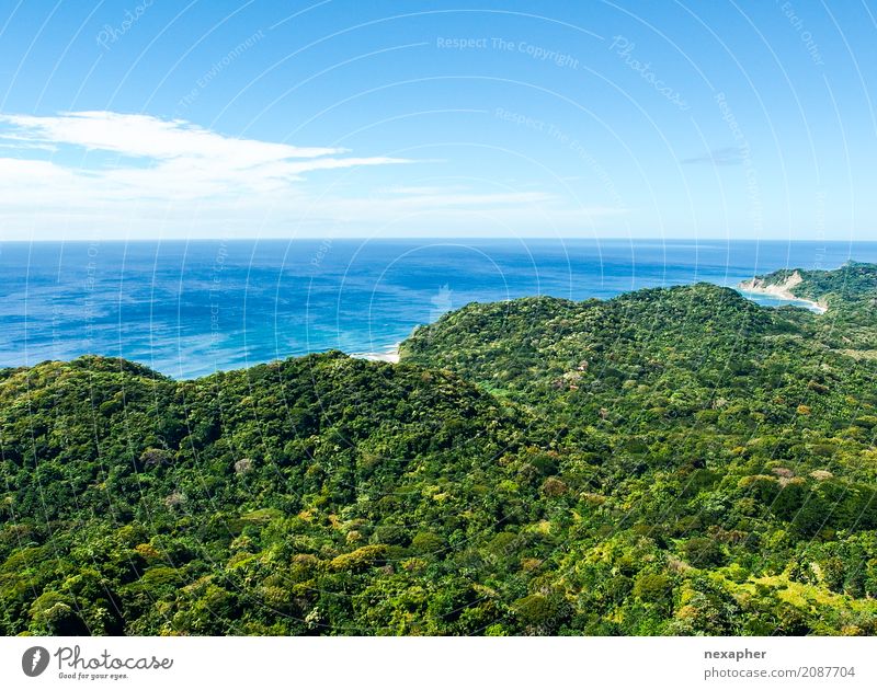 Coastline with tree and ocean / Ozeanküste Freude Ferien & Urlaub & Reisen Tourismus Ausflug Abenteuer Meer Natur Landschaft Wasser Küste Bucht außergewöhnlich