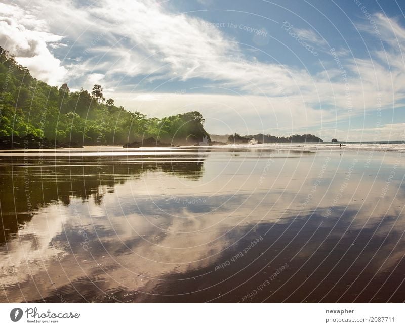 Reflected beach / Strandreflektion exotisch Ferien & Urlaub & Reisen Tourismus Abenteuer Ferne Natur Landschaft Wolken Baum Küste Bucht Erholung authentisch