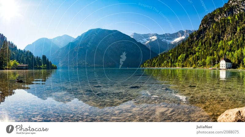 Plansee in Österreich am Morgen Erholung ruhig Ferien & Urlaub & Reisen Sonne Strand Berge u. Gebirge Natur Landschaft Wasser Himmel Wolkenloser Himmel Frühling