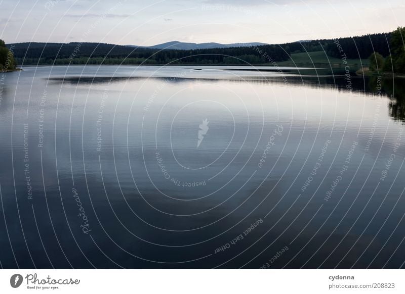 Still ruht der See ruhig Umwelt Natur Landschaft Wasser Wald Einsamkeit einzigartig Freiheit geheimnisvoll Idylle Leben nachhaltig schön Umweltschutz