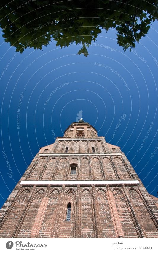 turm. Kirche Turm Fassade Fenster alt hoch blau Himmel Blätterdach Textfreiraum Mitte Tag Weitwinkel Kirchturm Außenaufnahme Blauer Himmel Froschperspektive