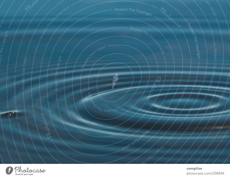 blobb schön Erholung ruhig Wellen Wasser Tropfen natürlich blau Reinlichkeit Sauberkeit Reinheit Wassertropfen Wellenform Kreis Farbfoto Außenaufnahme