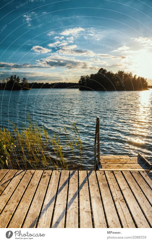 chillfaktor 10 Umwelt Natur Landschaft Himmel Wolken Horizont Sonne Sommer Schönes Wetter Pflanze Seeufer Strand Bucht Fjord Insel schön Schwimmen & Baden Steg