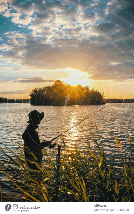 des anglers traum Mensch Natur Schönes Wetter Küste Seeufer Flussufer Insel genießen Angeln Angler Angelrute Steg Anlegestelle Freizeit & Hobby