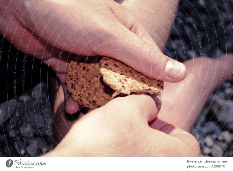 Enten füttern ruhig Hand Finger Sommer Keks Lebensmittel Krümel lecker Sonnenlicht Daumen festhalten brechen