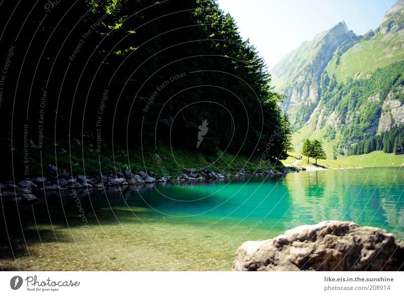 Schweizer Bergsee Leben harmonisch Wohlgefühl Zufriedenheit Erholung ruhig Duft Ferien & Urlaub & Reisen Ausflug Freiheit Sommer Sommerurlaub Berge u. Gebirge