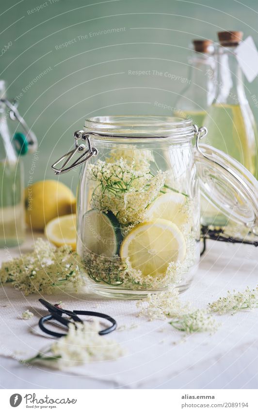 Holunderblütensirup Holunderbusch Holunderbeeren Schorle Wasser Zitrone Limone Getränk trinken Erfrischung Saftflasche Saftglas Glas Flasche Sirup altehrwürdig