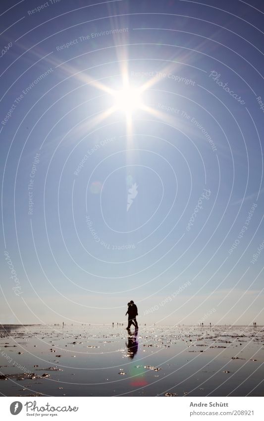 Walk 53.889419 / 8.652141 Mensch Umwelt Luft Wasser Wolkenloser Himmel Horizont Schönes Wetter Küste Nordsee Sand wandern nass blau schwarz weiß ruhig Idylle