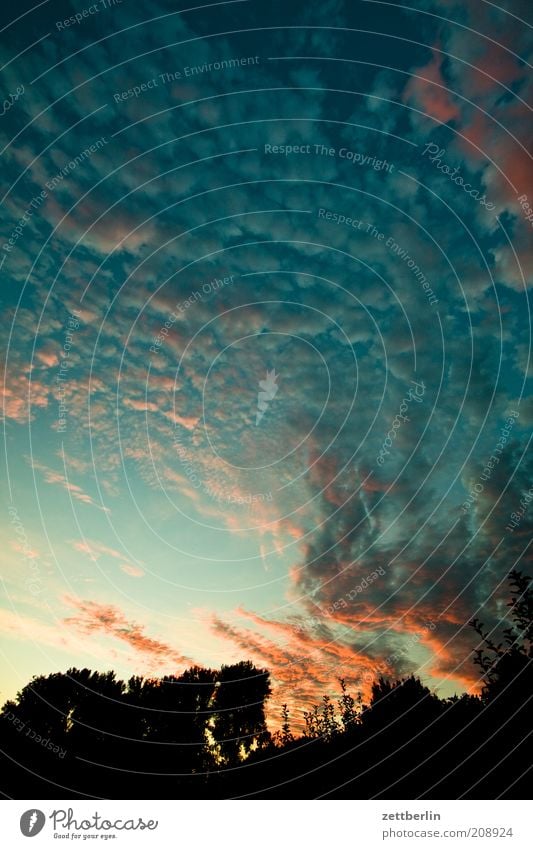 Typischer Schrebergartenhimmel Sommer Wolken Romantik Abenddämmerung dramatisch Juli Juni Sonnenuntergang Altokumulus floccus spektral Farbenspiel Sommerabend