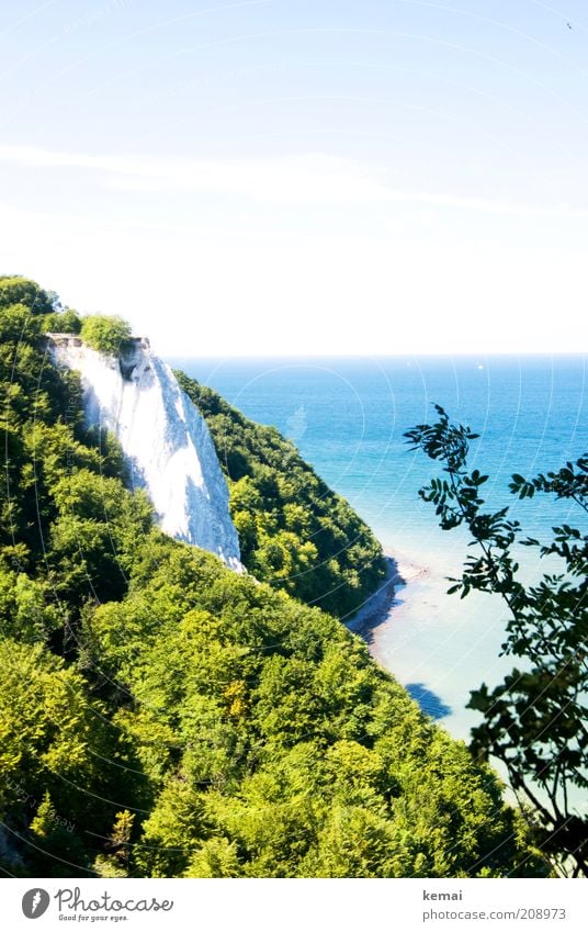 Königstuhl Umwelt Natur Landschaft Pflanze Urelemente Wasser Himmel Sonnenlicht Sommer Klima Schönes Wetter Wärme Grünpflanze Hügel Felsen Küste Bucht Ostsee