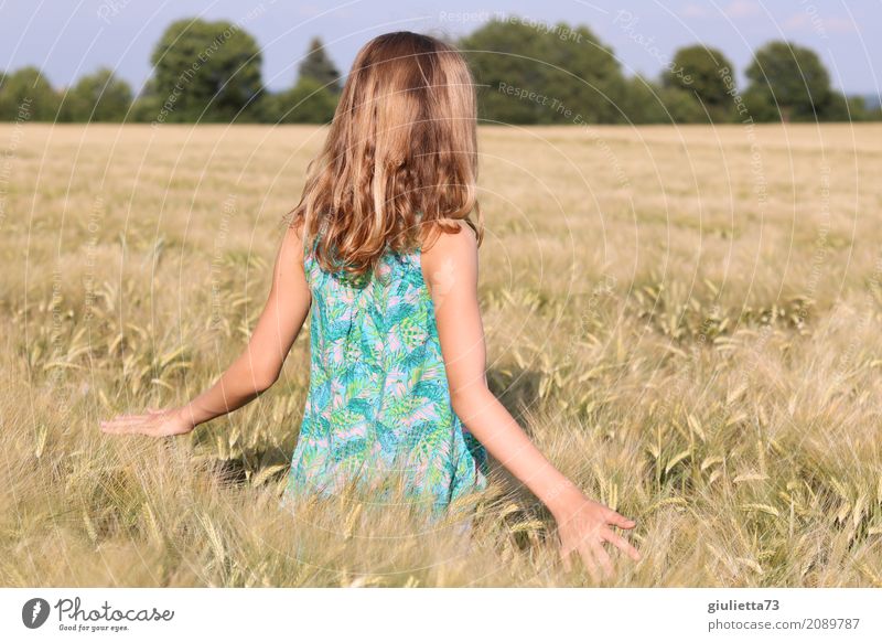 Summertime || feminin Kind Mädchen Junge Frau Jugendliche Kindheit Leben 1 Mensch 8-13 Jahre 13-18 Jahre Sonnenlicht Sommer Schönes Wetter Feld Getreidefeld