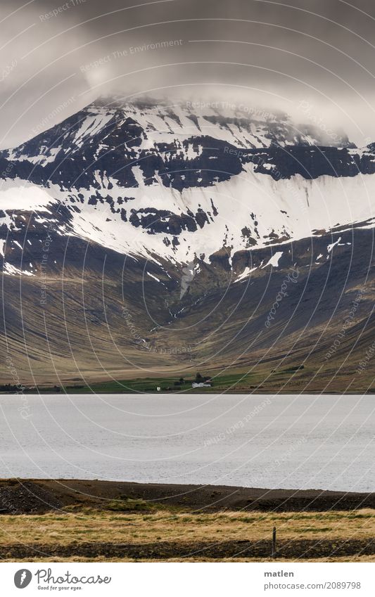 FJORDBLICK Natur Landschaft Pflanze Luft Wasser Himmel Wolken Frühling Wetter schlechtes Wetter Gras Felsen Gipfel Schneebedeckte Gipfel Küste Fjord Meer