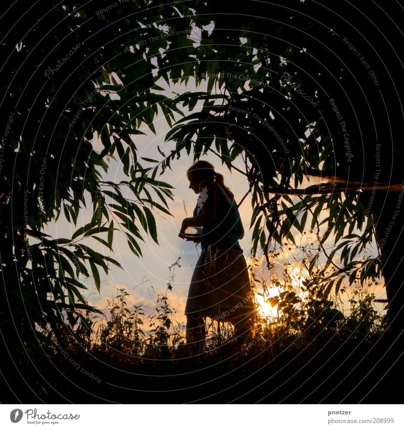 Sommerloch feminin Junge Frau Jugendliche 18-30 Jahre Erwachsene Natur Landschaft Himmel Sonne Sonnenaufgang Sonnenuntergang Sonnenlicht Klima Klimawandel