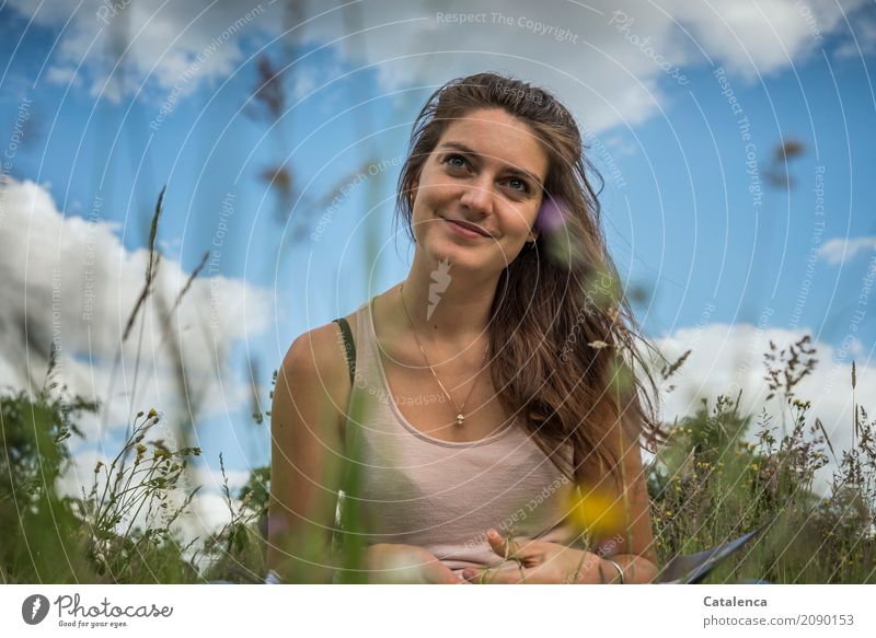 Sommer, Sommer. Junge Frau in der Wiese lächelt feminin Jugendliche 1 Mensch 18-30 Jahre Erwachsene Natur Pflanze Himmel Wolken Schönes Wetter Blume Gras