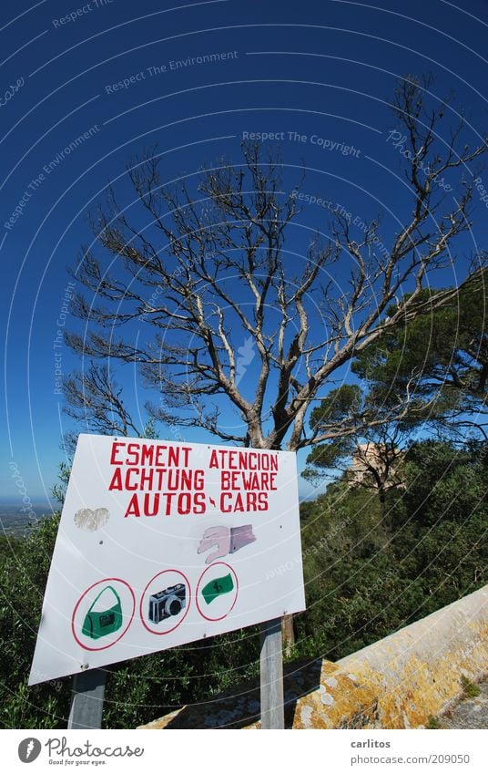 8ung !! Wolkenloser Himmel Sommer Schönes Wetter Baum Pinie Schilder & Markierungen Warnschild Warnung Hinweisschild bedrohlich eckig blau rot weiß Wachsamkeit