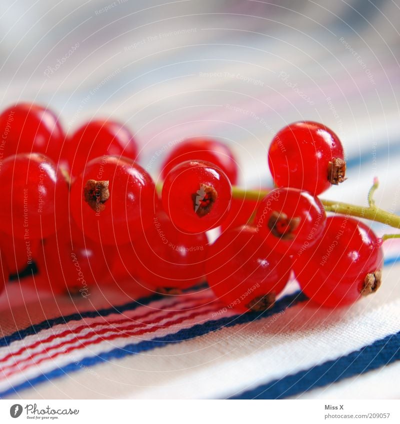 Johann II Lebensmittel Frucht Ernährung Picknick Bioprodukte Vegetarische Ernährung frisch klein lecker rund saftig sauer süß rot Beeren Johannisbeeren Farbfoto