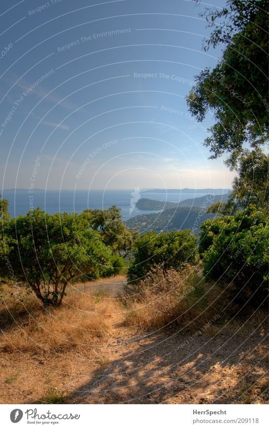 Côte du Var Umwelt Natur Landschaft Pflanze Himmel Sonnenlicht Sommer Schönes Wetter Baum Gras Sträucher Hügel Küste Meer Mittelmeer Frankreich blau braun grün