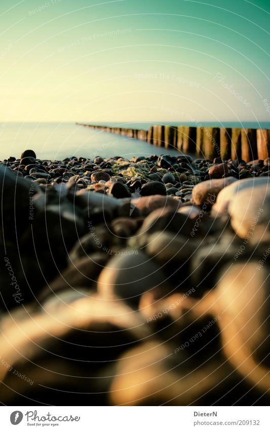 Grün Sommer Sommerurlaub Strand Meer Umwelt Natur Landschaft Erde Luft Wasser Himmel Wolkenloser Himmel Horizont Sonnenlicht Wetter Schönes Wetter Wärme gelb