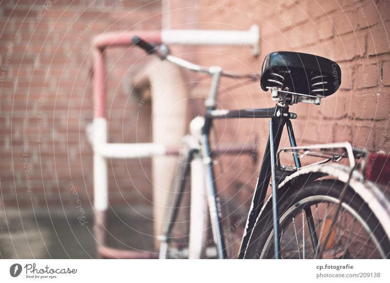 Drahtesel vor Backsteinmauer Fahrrad Bauwerk Gebäude Mauer Wand Fassade Verkehrsmittel Stein Metall alt Farbfoto Außenaufnahme Tag Schwache Tiefenschärfe