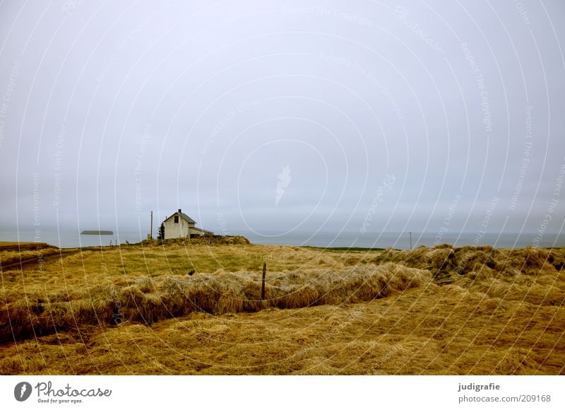 Island Umwelt Natur Landschaft Gras Hügel Küste Meer Haus Hütte Gebäude einzigartig natürlich wild Stimmung Einsamkeit Idylle ruhig Unbewohnt Farbfoto