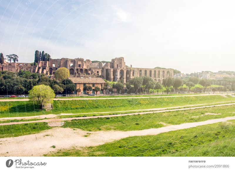 Zirkus Maximus in Rom Umwelt Natur Landschaft Pflanze Italien Kleinstadt Sehenswürdigkeit Wahrzeichen Denkmal circus maximus Erholung Blick alt natürlich retro