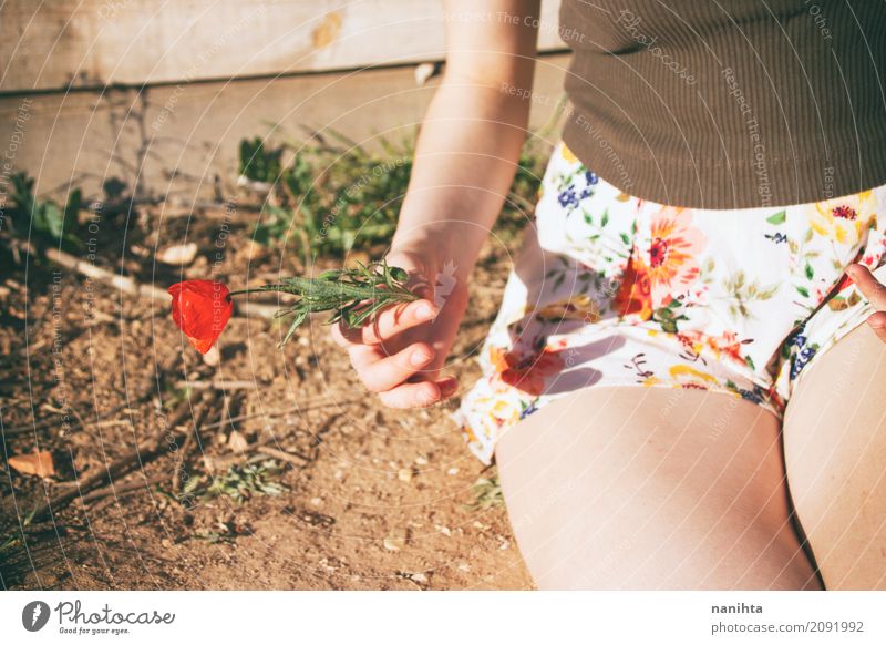 Junge Frau, die eine Mohnblumenblume anhält Lifestyle Stil Mensch feminin Jugendliche 1 18-30 Jahre Erwachsene Natur Pflanze Frühling Sommer Blume festhalten