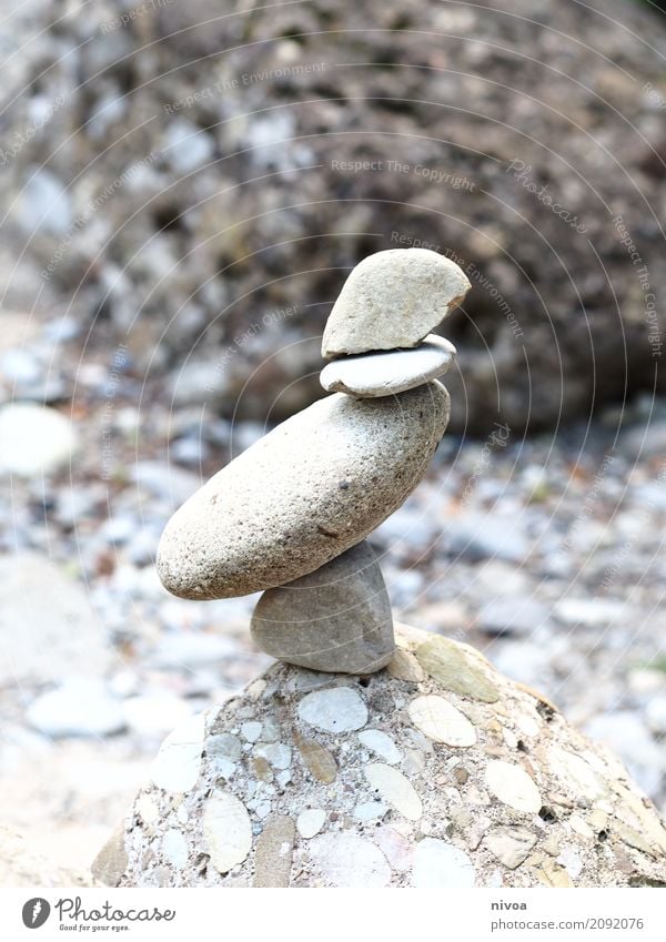 Steinvogel Ausflug Abenteuer Berge u. Gebirge wandern Kunst Künstler Kunstwerk Umwelt Natur Landschaft Schönes Wetter Felsen Tier 1 Zeichen entdecken stehen