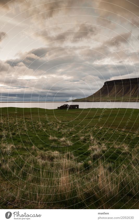 Fjordblick Natur Landschaft Himmel Wolken Horizont Frühling Wetter Wind Gras Wiese Felsen Berge u. Gebirge Küste Meer maritim Traurigkeit Island Ruine Farbfoto