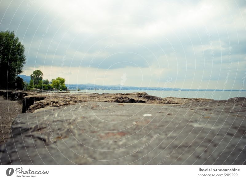 Komm, setz dich zu mir! Erholung ruhig Wasser Wolken Sommer Baum Küste Seeufer Flussufer Bucht Bodensee Menschenleer Mauer Wand Unendlichkeit Einsamkeit