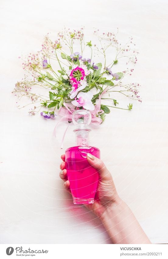 Weibliche Hand hält Flasche mit rosa Lotion und Blumen Stil Design schön Körperpflege Kosmetik Parfum Spa Mensch feminin Frau Erwachsene Pflanze Blatt Blüte