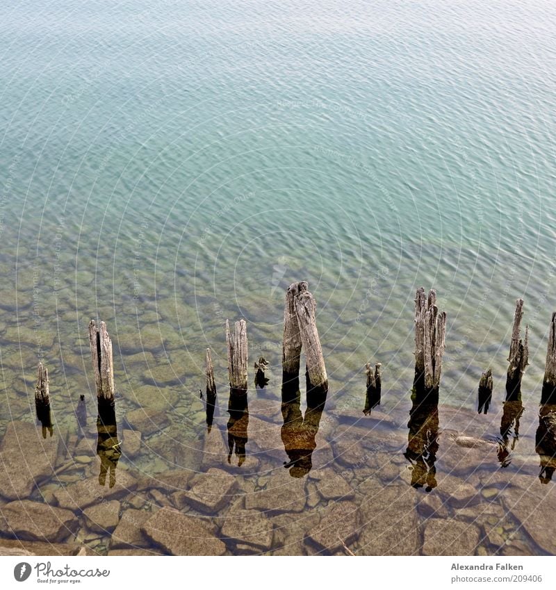 Bodensee Umwelt Natur Wasser Seeufer Stein Pfosten Holz Strukturen & Formen Farbfoto Textfreiraum oben Buhne Verfall verfallen Zahn der Zeit alt Altholz