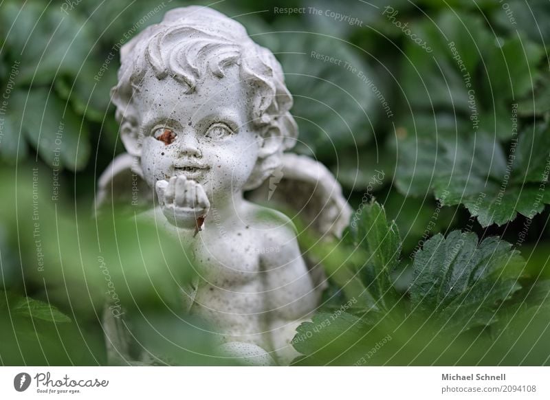 Friedhofsengelchen Skulptur Kultur Fröhlichkeit niedlich grau grün Romantik friedlich Güte trösten Glaube demütig Aufmunterung Tod Engel Lächeln Farbfoto