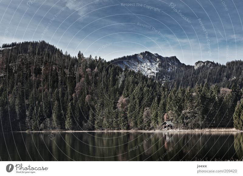 Haus am See Natur Landschaft Himmel Sommer Schönes Wetter Wald Berge u. Gebirge Schneebedeckte Gipfel Seeufer Menschenleer alt blau grün ruhig Erholung Umwelt