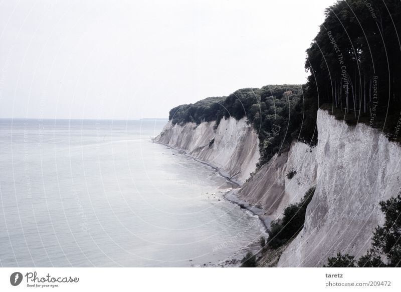 Schattenfelsen Umwelt Natur Landschaft Urelemente Wasser Wolkenloser Himmel Küste Bucht Ostsee Insel Rügen blau Jasmund Kreidefelsen ruhig Sediment Ausflugsziel