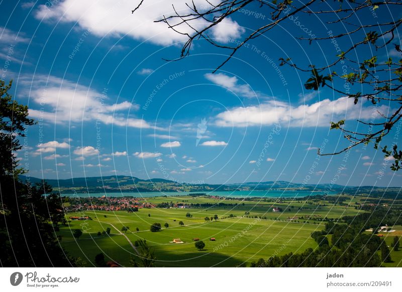 ausblick. Sommer Landschaft Schönes Wetter Wiese Feld See Blick blau grün Idylle Umwelt Weide Wolkenhimmel Panorama (Aussicht) Farbfoto Außenaufnahme Hügel Ast