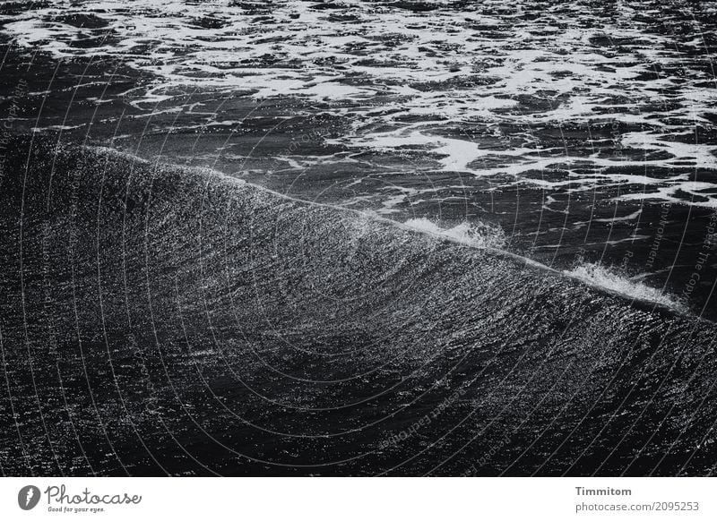 Welle. Umwelt Natur Urelemente Wasser Nordsee dunkel einfach grau schwarz weiß Gischt Wellen Rauschen Linie Schwarzweißfoto Außenaufnahme Menschenleer