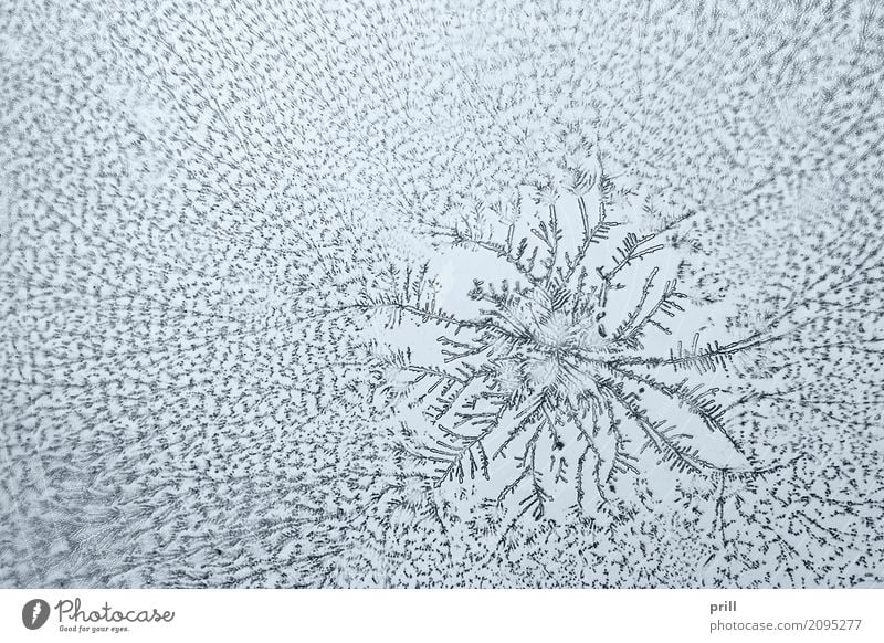 micro crystal pattern Wissenschaften Natur außergewöhnlich mikrokristall durchlicht künstlich Mineralien mikroskopisch vergrößert ausschnitt Kristallstrukturen